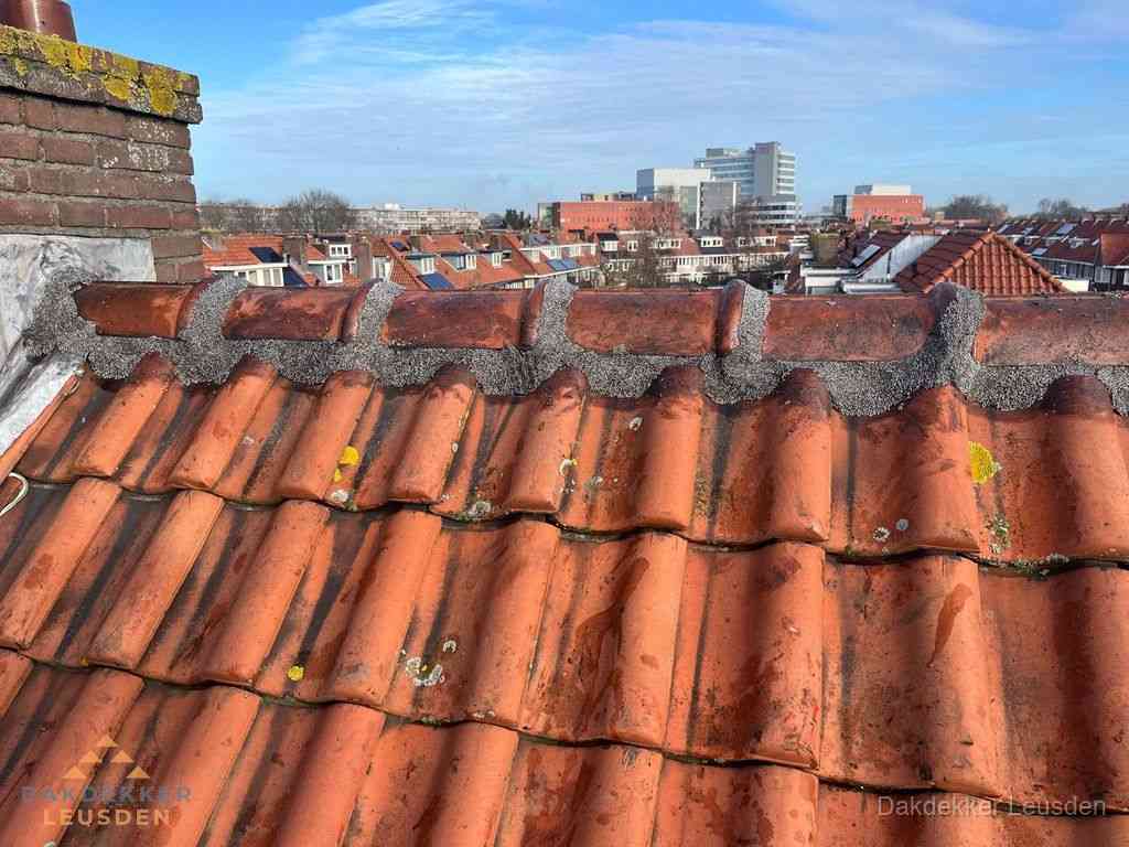 Leusden Daken Renoveren Leusden Daken Renoveren